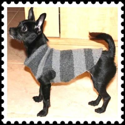 modelos de ropa de lana para perros