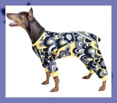 patrones para ropa de perros gratis