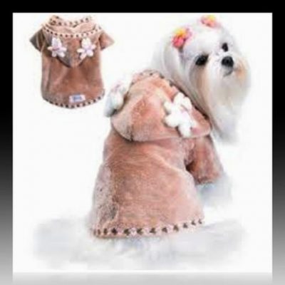 ropa de invierno para perros chihuahua