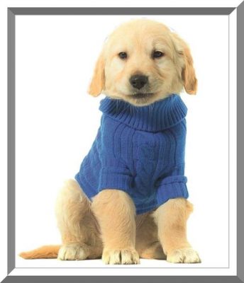 sweaters para perros patrones