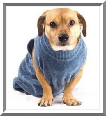 sweaters para perros tejidos
